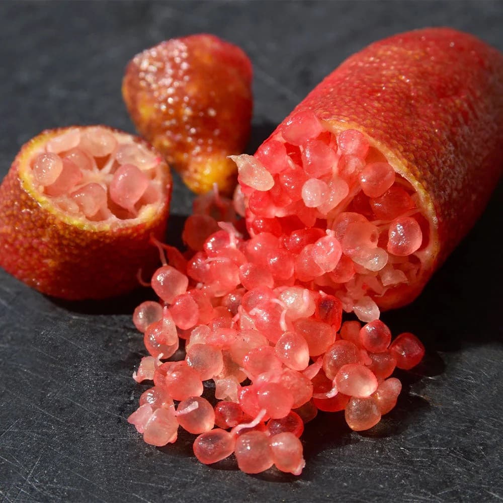 Australian Red Finger Lime