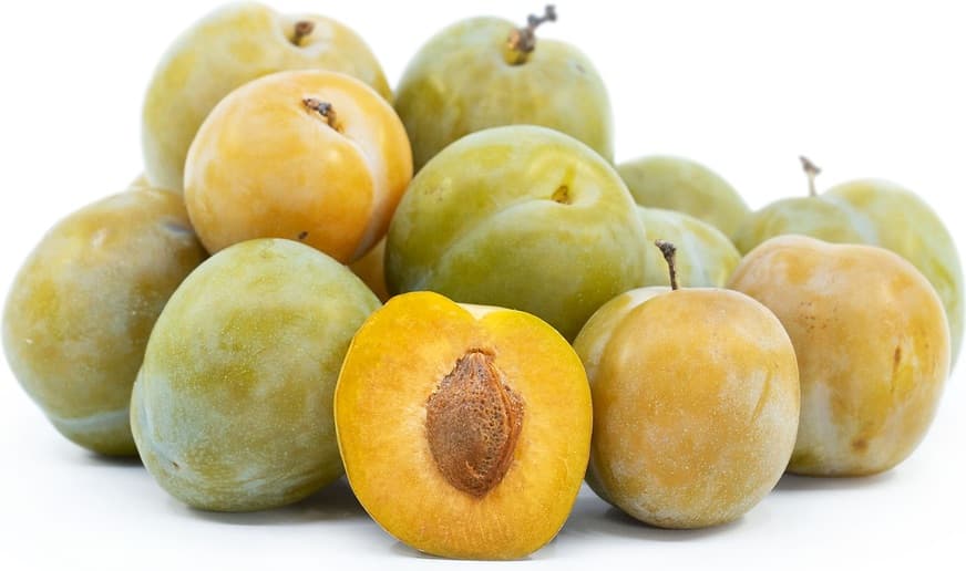 Bavays Green Gage Plum