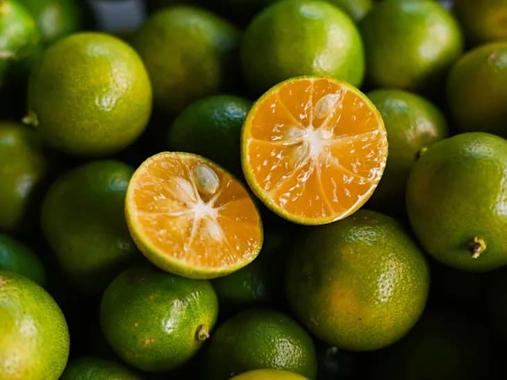 Calamansi Orange Kumquat Hybrid