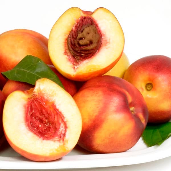 Desert Delight Nectarine