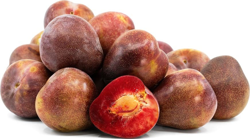 Elephant Heart Plum