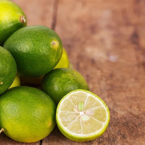Mexican Key Lime