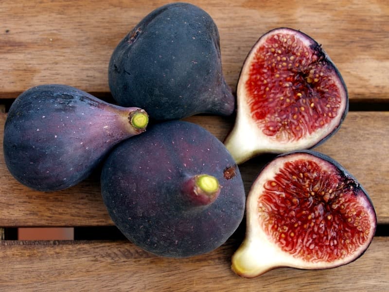 Negra D'agde Fig