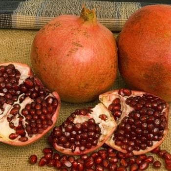 Red Silk Pomegranate