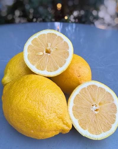 Santa Teresa Lemon