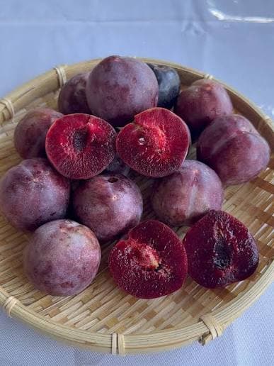 Satsuma Plum