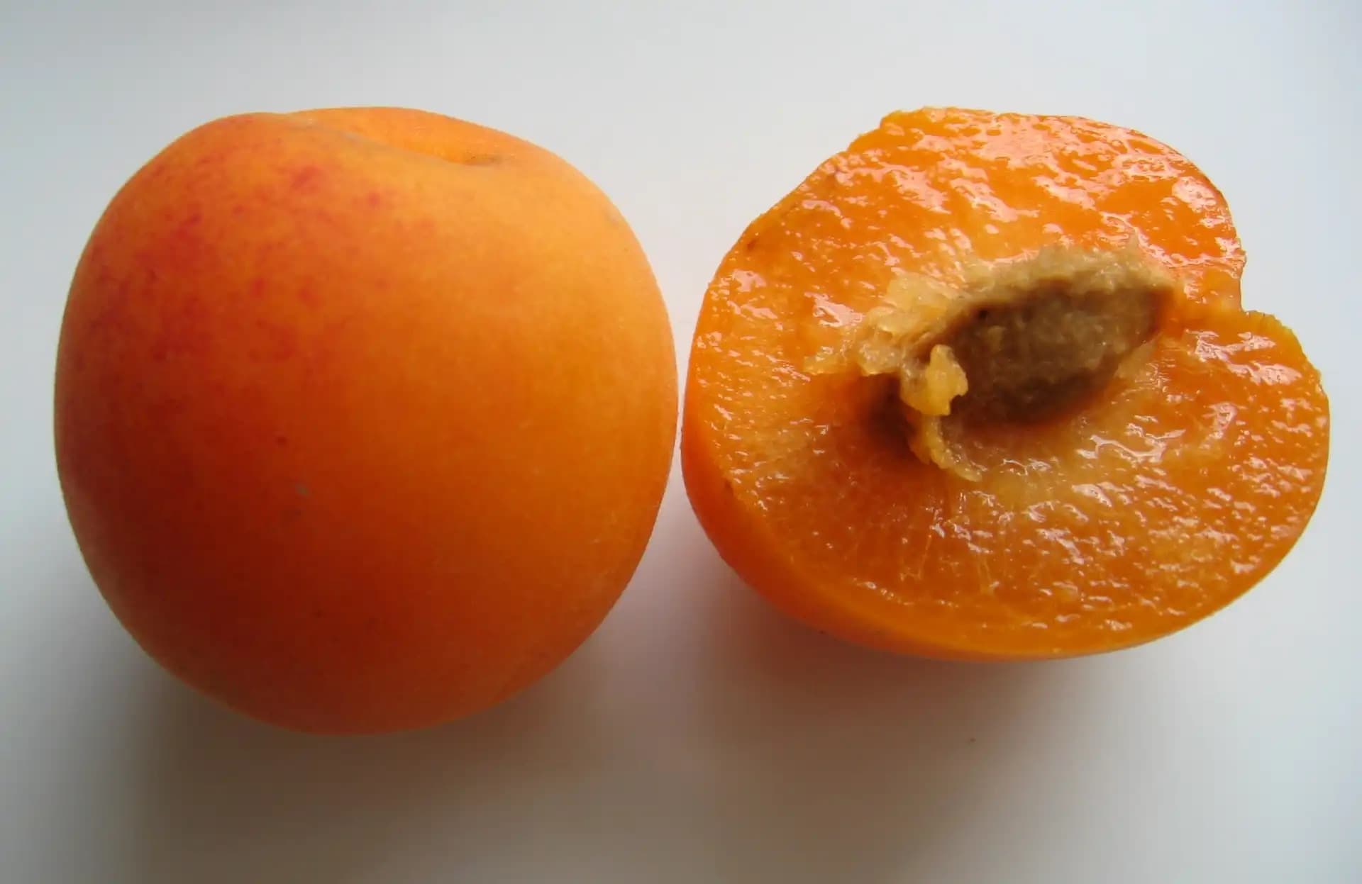 Splash Pluot