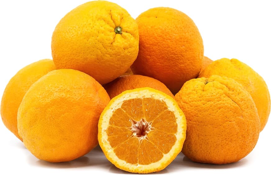 Valencia Orange
