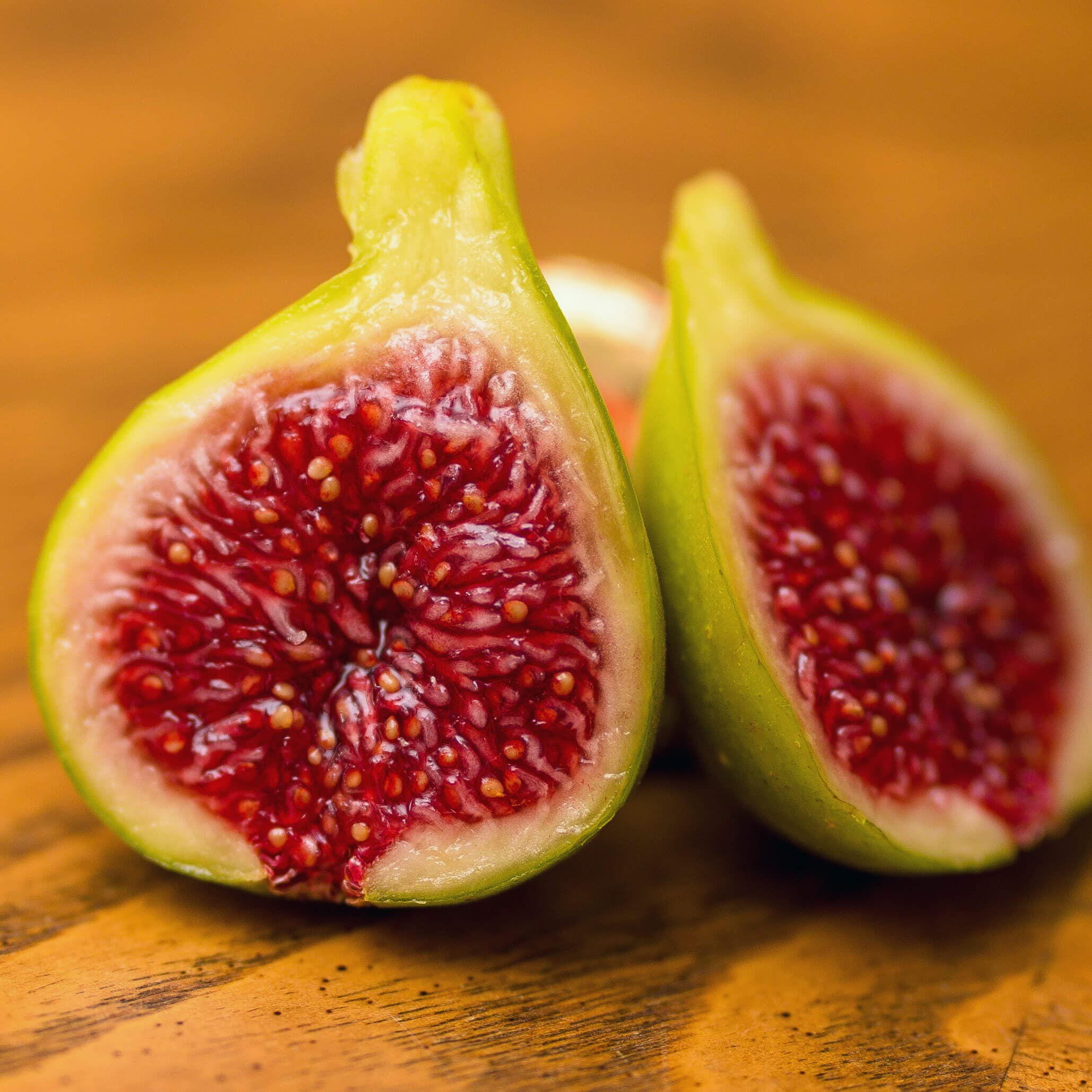 White Madeira Fig
